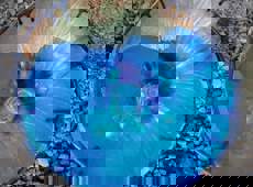 Received 4237201412997141