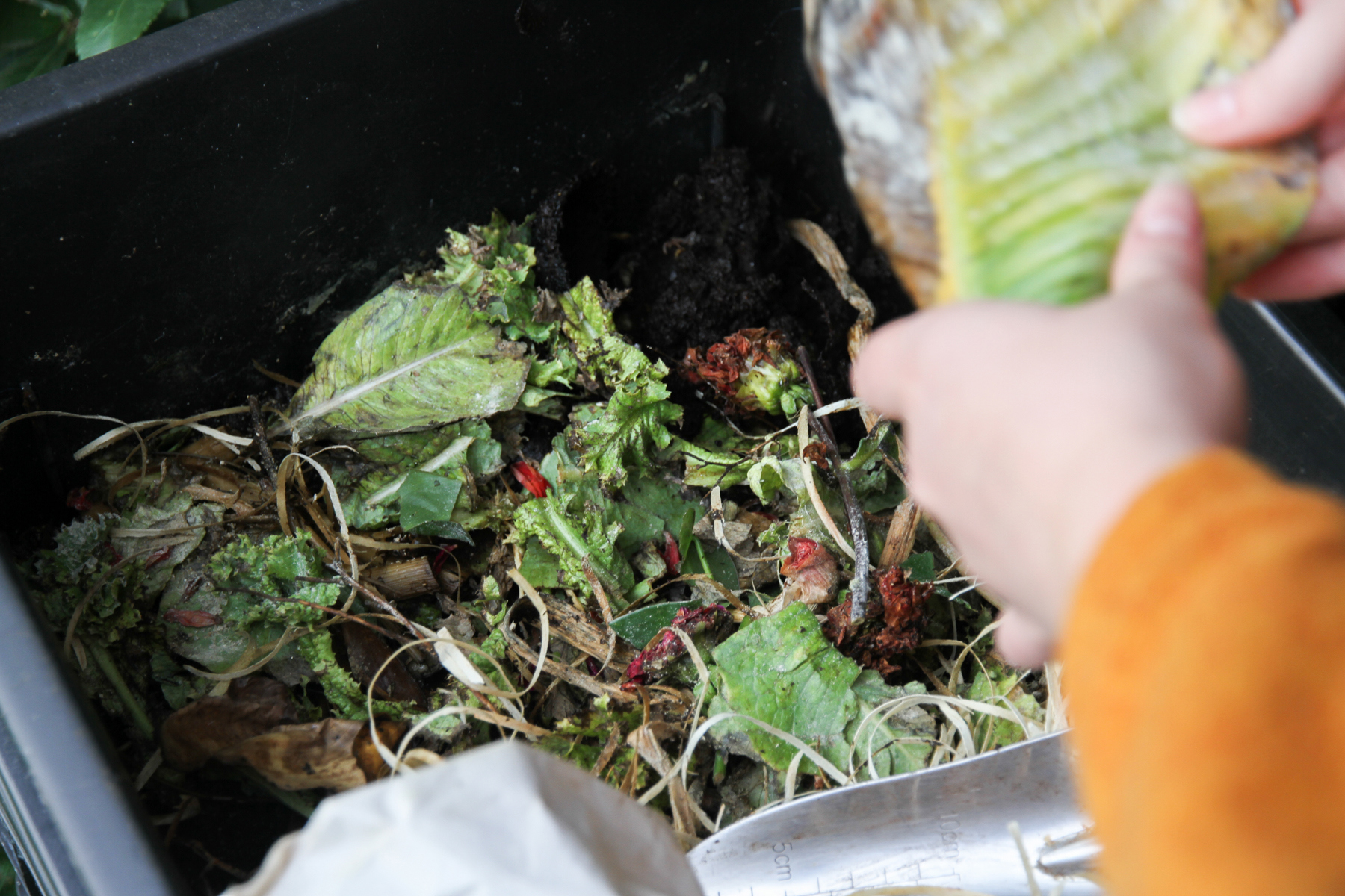 Vegetable matter