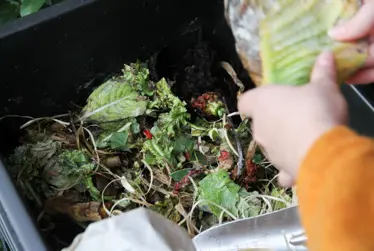 Action on organic waste: good for the garden and the climate