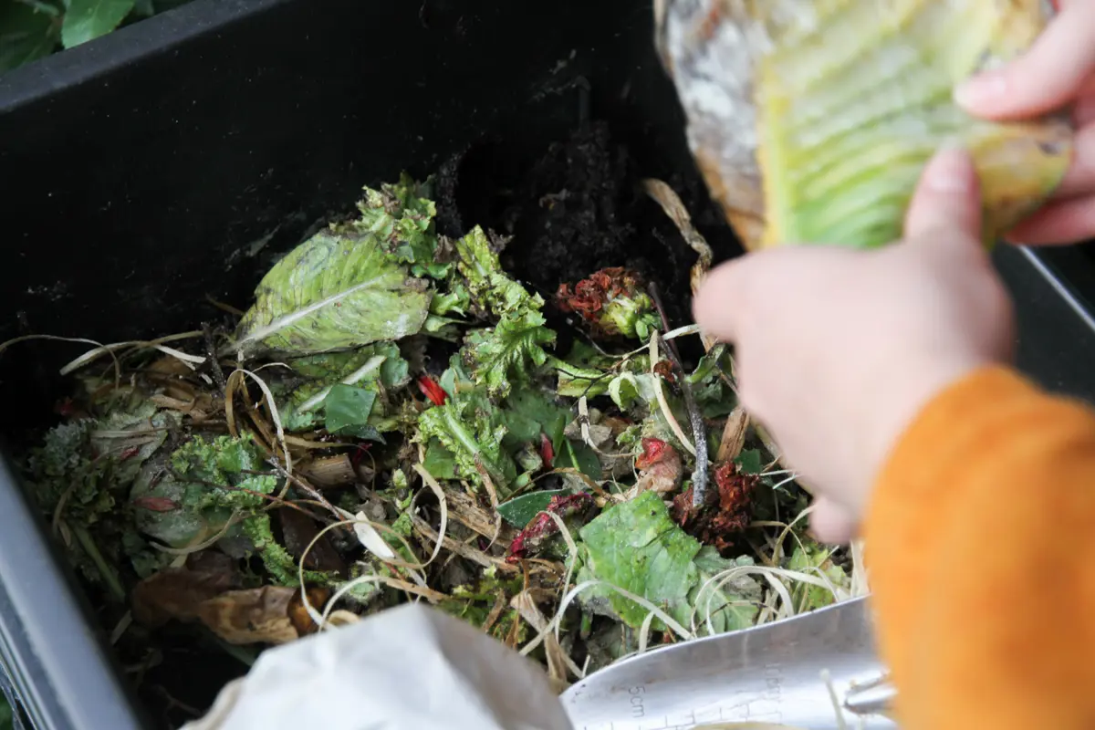 Vegetable matter