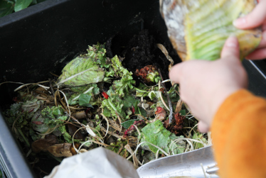 Action on organic waste: good for the garden and the climate