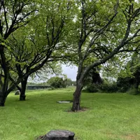 Looking north through trees towards the memorial, with the rail bridge across the Ōtaki River in the background. thumbnail