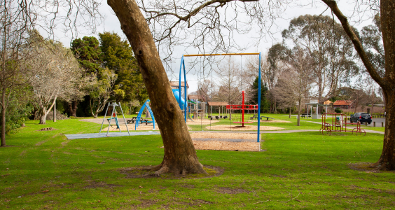 Photo of Haruātai Park playground