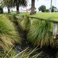 clean 8 kilometres of open drains thumbnail