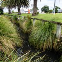 clean 8 kilometres of open drains thumbnail