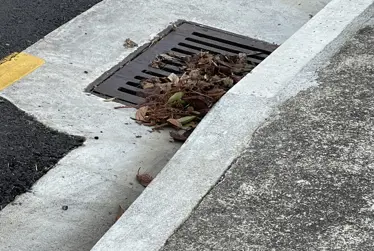 Sweeping leaves us prepared for the season