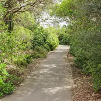 Kotuku Park walk thumbnail