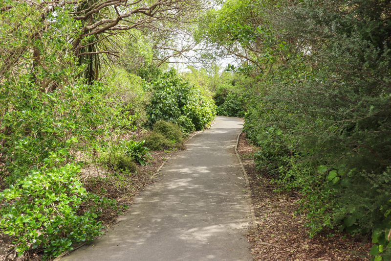 Kotuku Park walk