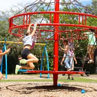 Climbing and swinging at Haruātai Park thumbnail