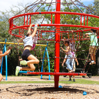 Climbing and swinging at Haruātai Park thumbnail
