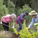 Friends Of Ōtaki River (1) - Thumbnail