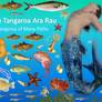 Tangaroa Whakatauki - Thumbnail