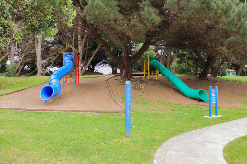 Waimeha Domain slides