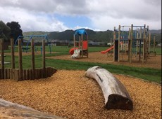 Pohutukawa Park (1)