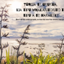 Harakeke Whakatauki - Thumbnail