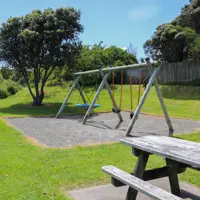 Tasman Road Reserve picnic table and swings thumbnail