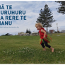 Feathers allow the bird to fly - Whakatauki Maori proverb - Thumbnail
