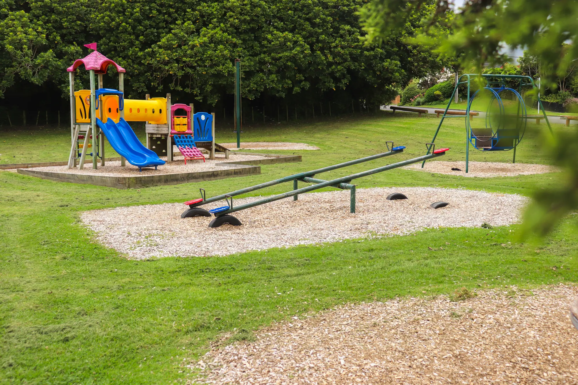 Waikanae Park area November 2023