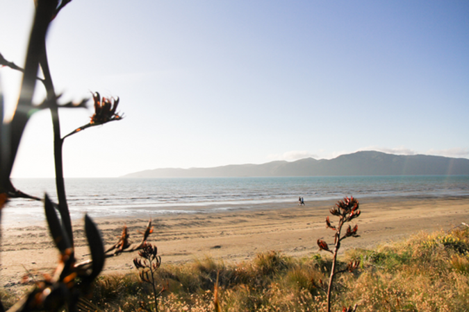 About The Annual Plan – Kapiti Coast District Council