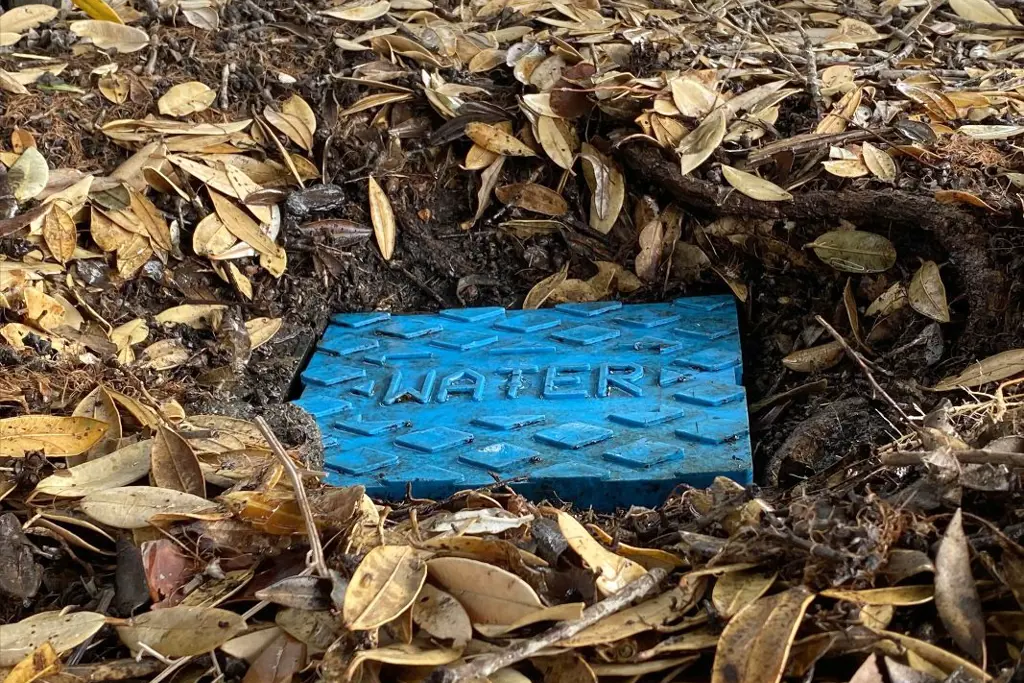Water