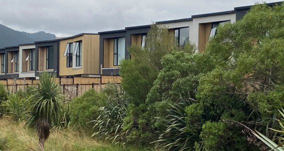 Row of townhouses in Kāpiti with local fauna in the foreground.