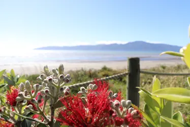 Kāpiti backs locally focused alternative for Wellington regional reform
