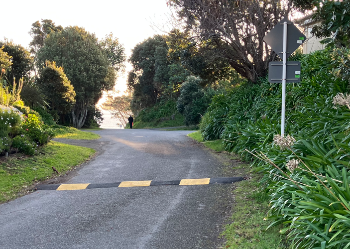 Speed Bump