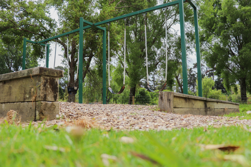 Otaihanga Domain swings