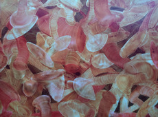 Landing Page Image (1)