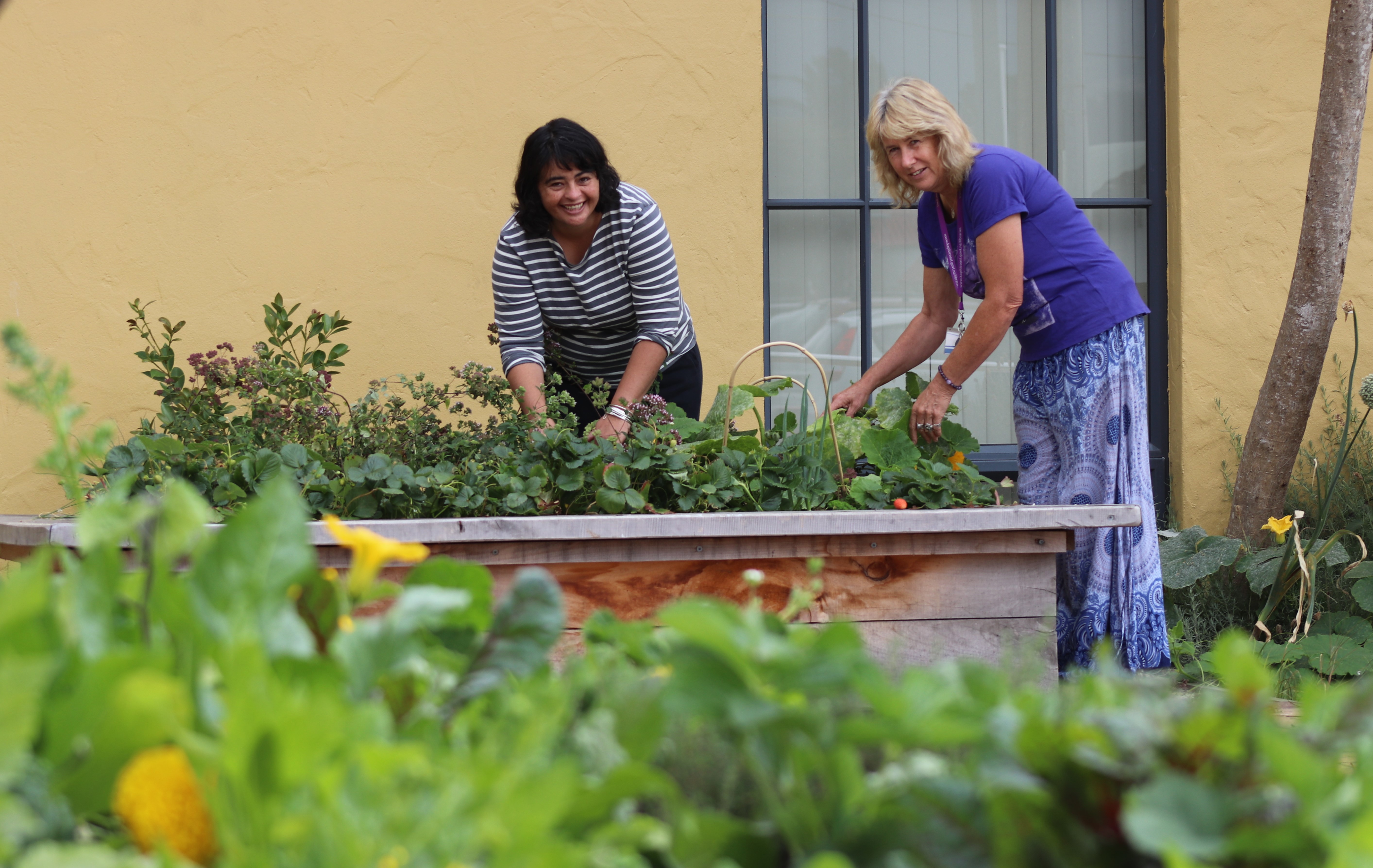 Ōtaki Library Team Leader Tiriata Carkeek and librarian Robyn Edmonds at the sharing garden