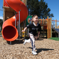 Totara Park slide and run thumbnail