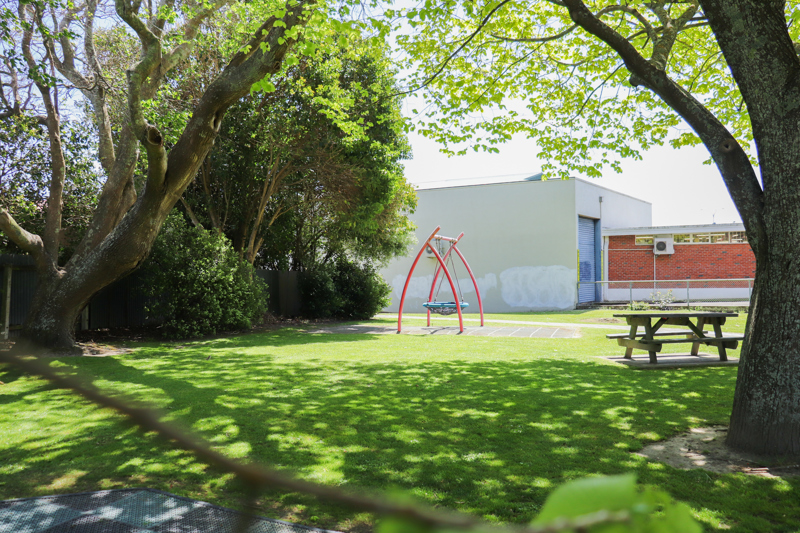 Centennial Park swing