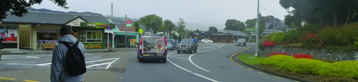 Raumati Village Improvements