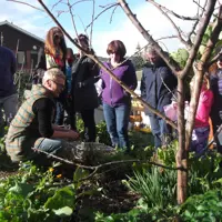 Garden Art 1 Paekākāriki 18 July 2016 thumbnail