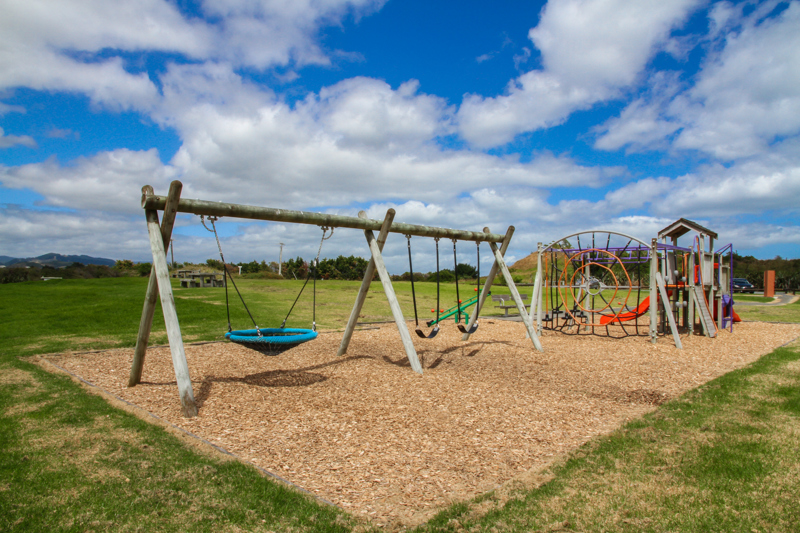 Pharazyn Reserve swings